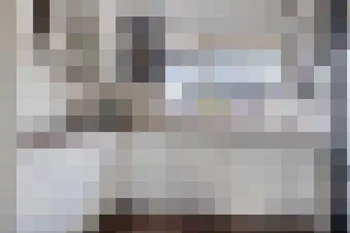 Honingbij 10 Deventer thumbnail 9