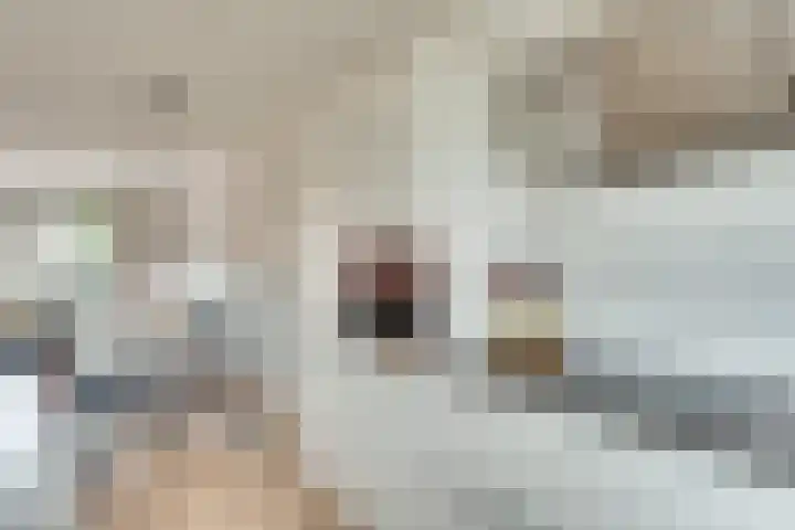 Honingbij 104 Son en Breugel thumbnail 13