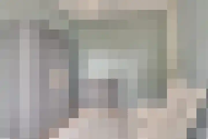 Honingbij 104 Son en Breugel thumbnail 20