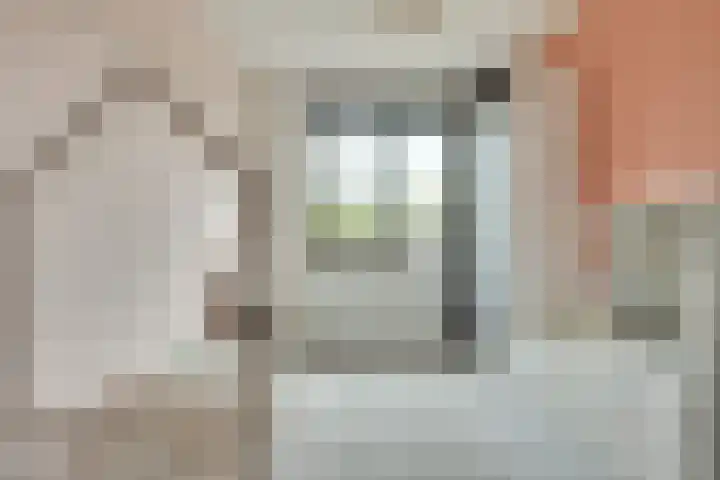 Honingbij 104 Son en Breugel thumbnail 22