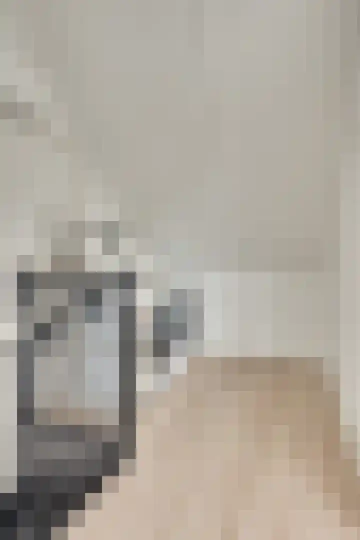 Honingbij 104 Son en Breugel thumbnail 33