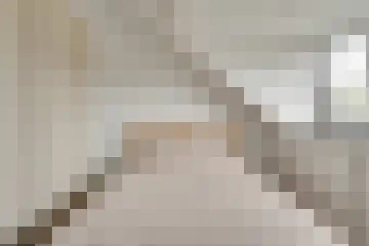 Honingbij 104 Son en Breugel thumbnail 34