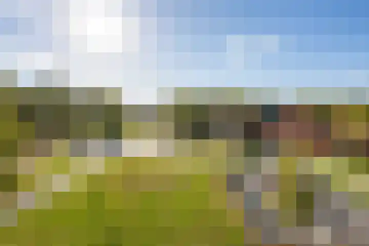 Honingbij 104 Son en Breugel thumbnail 37
