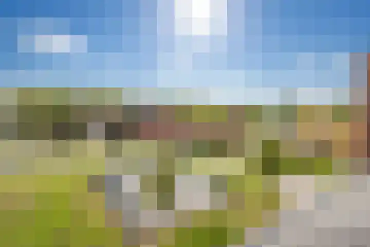 Honingbij 104 Son en Breugel thumbnail 38