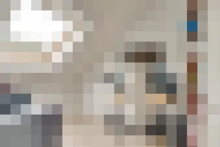 Honingbij 104 Son en Breugel thumbnail 39