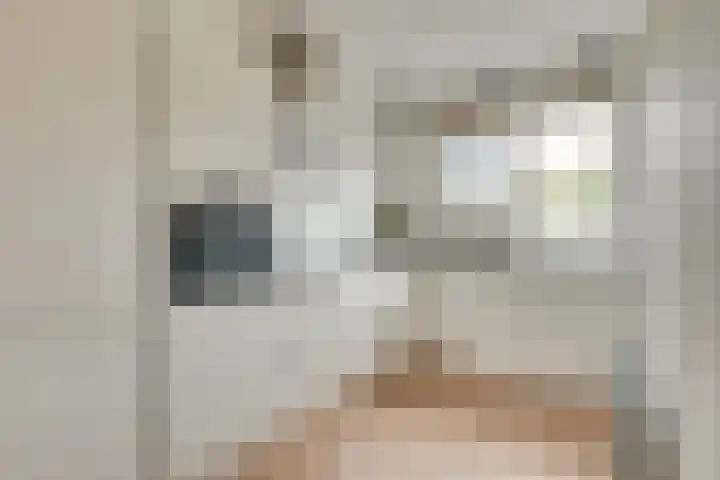 Honingbij 104 Son en Breugel thumbnail 4