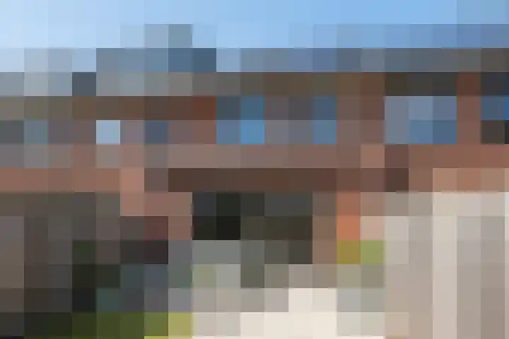 Honingbij 104 Son en Breugel thumbnail 40