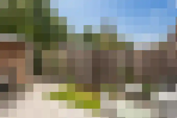 Honingbij 104 Son en Breugel thumbnail 41