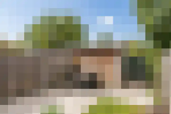 Honingbij 104 Son en Breugel thumbnail 42
