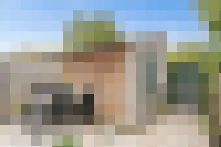 Honingbij 104 Son en Breugel thumbnail 43