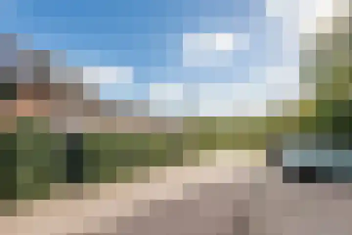 Honingbij 104 Son en Breugel thumbnail 45