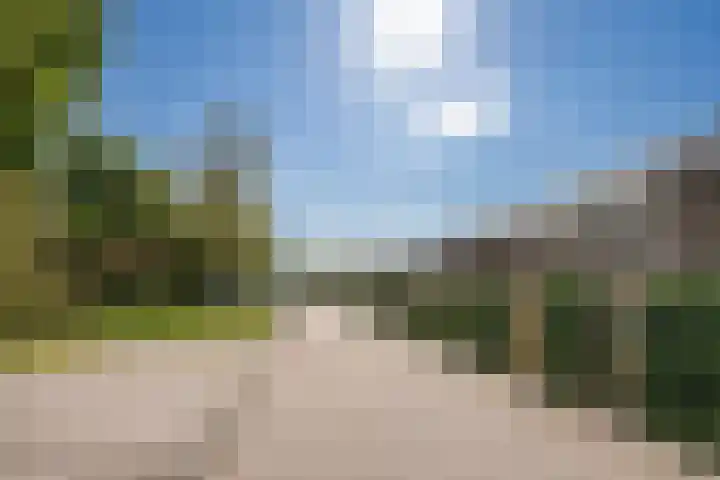 Honingbij 104 Son en Breugel thumbnail 46