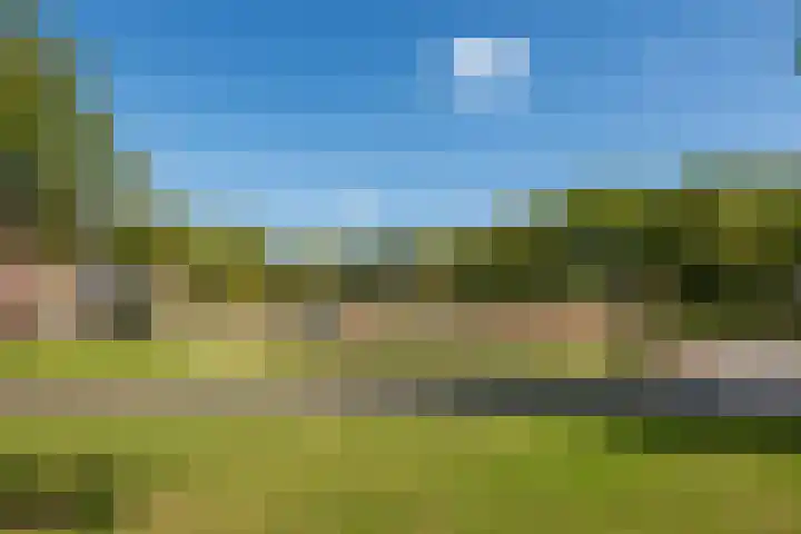 Honingbij 104 Son en Breugel thumbnail 47