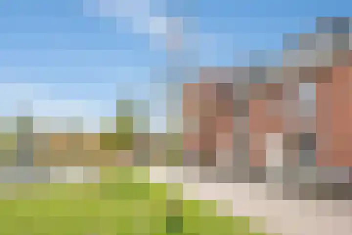 Honingbij 104 Son en Breugel thumbnail 48