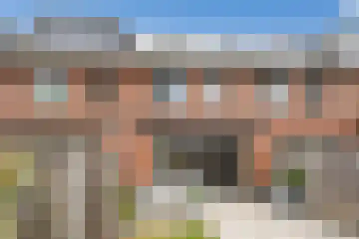 Honingbij 104 Son en Breugel thumbnail 49