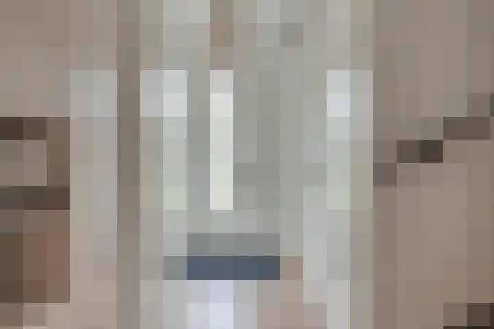 Honingbij 104 Son en Breugel thumbnail 5