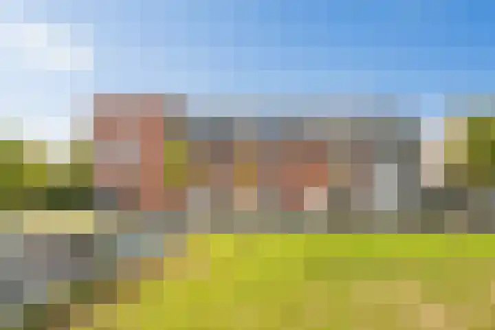 Honingbij 104 Son en Breugel thumbnail 50