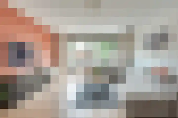 Honingbij 104 Son en Breugel thumbnail 6
