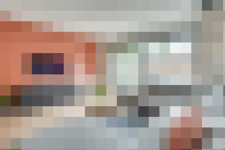 Honingbij 104 Son en Breugel thumbnail 7