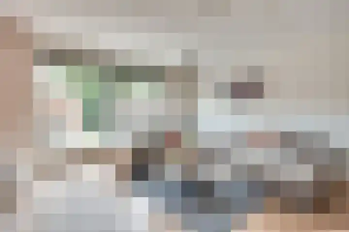 Honingbij 104 Son en Breugel thumbnail 8