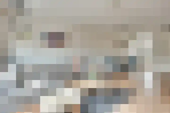 Honingbij 104 Son en Breugel thumbnail 9