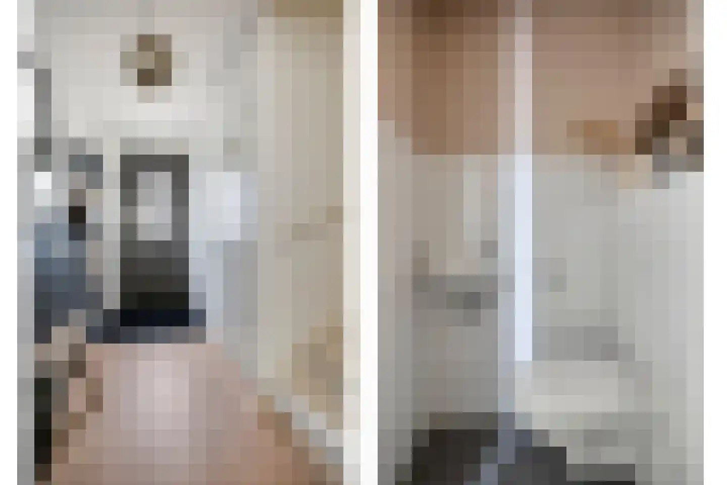 Honingbij 22 Son en Breugel thumbnail 11
