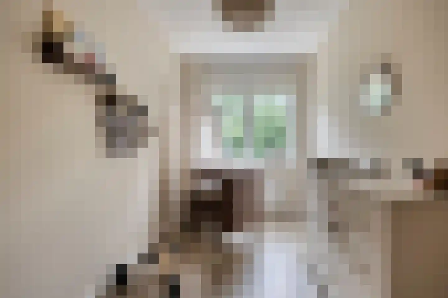 Honingbij 22 Son en Breugel thumbnail 17