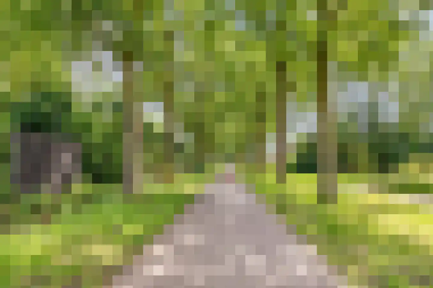 Honingbij 22 Son en Breugel thumbnail 35