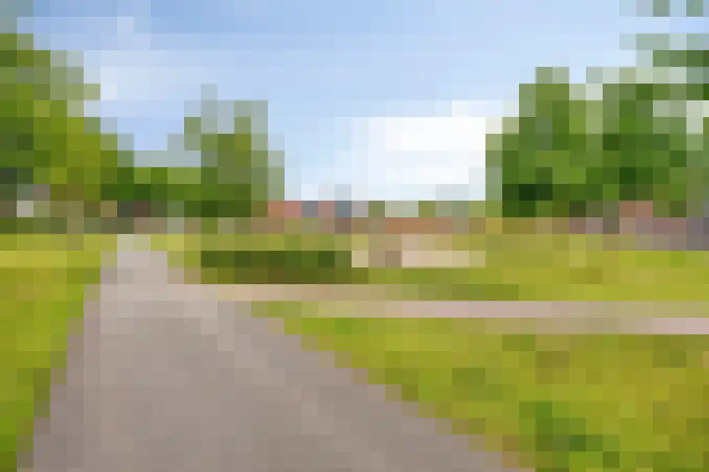 Honingbij 22 Son en Breugel thumbnail 36