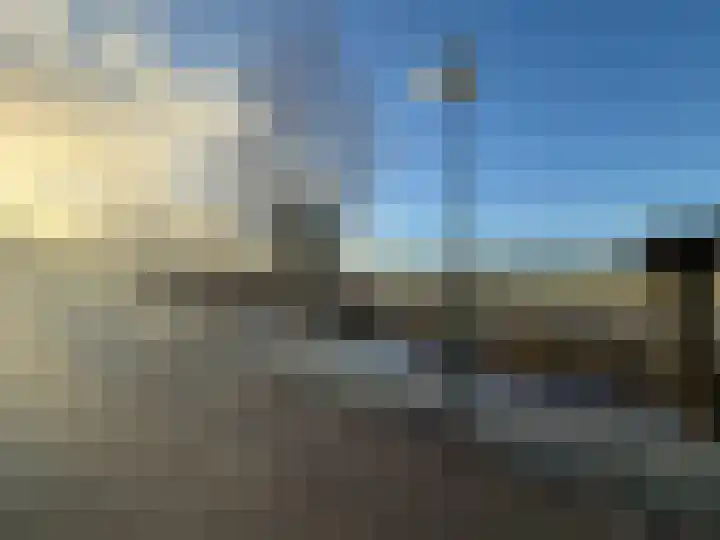 Honingbij 24 Soest thumbnail 15