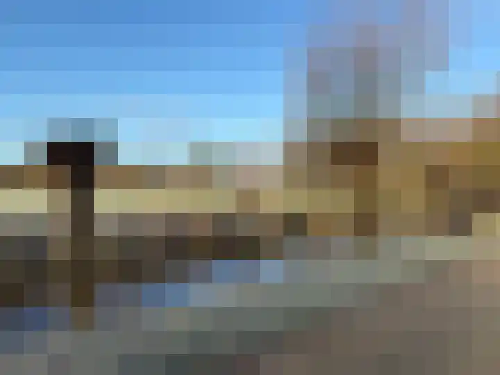 Honingbij 24 Soest thumbnail 16