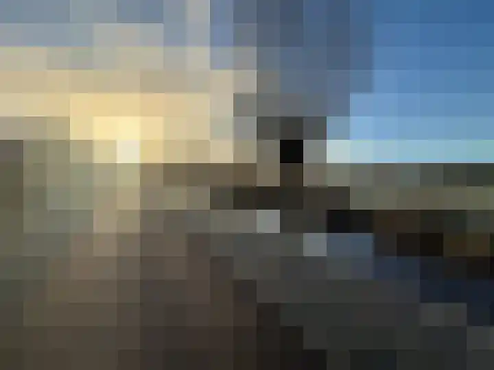 Honingbij 24 Soest thumbnail 17