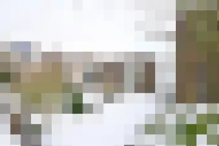 Honingbij 24 Soest thumbnail 4