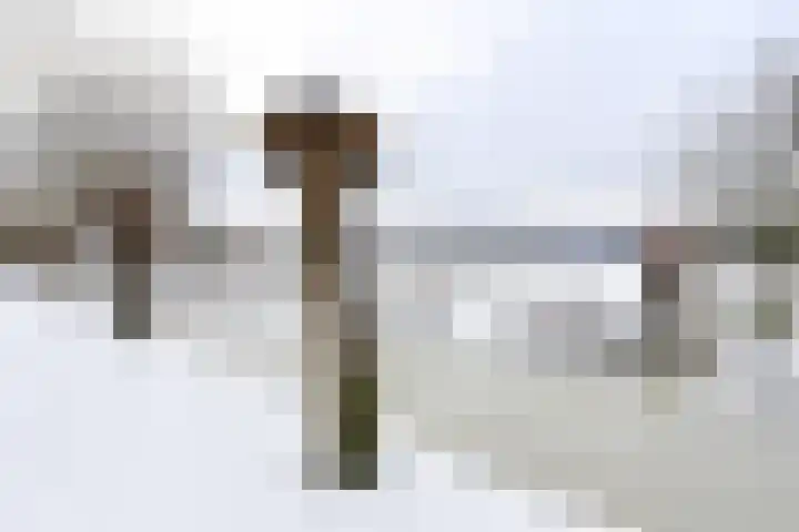 Honingbij 24 Soest thumbnail 5
