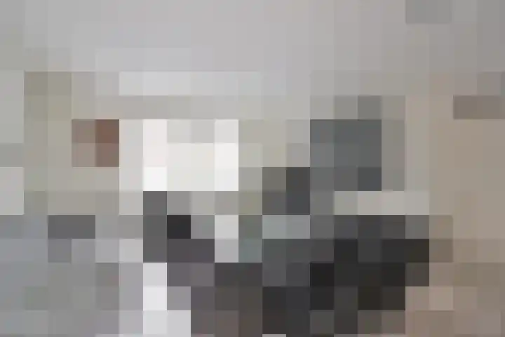 Honingbij 24 Soest thumbnail 6