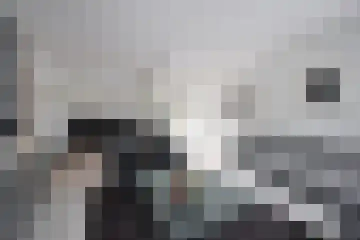 Honingbij 24 Soest thumbnail 8