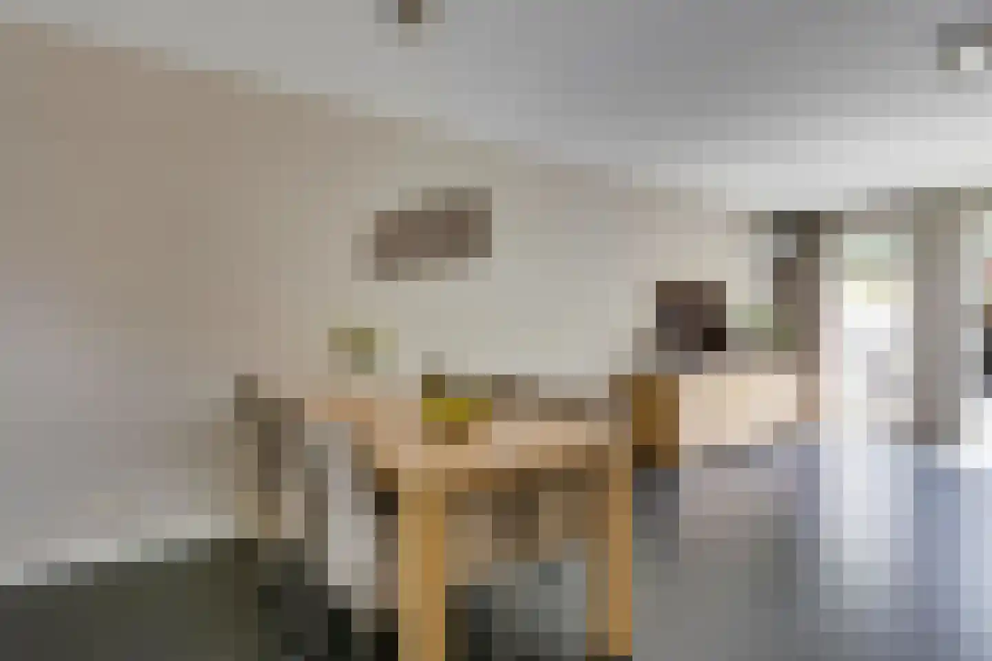 Honingbij 26 Son en Breugel thumbnail 18