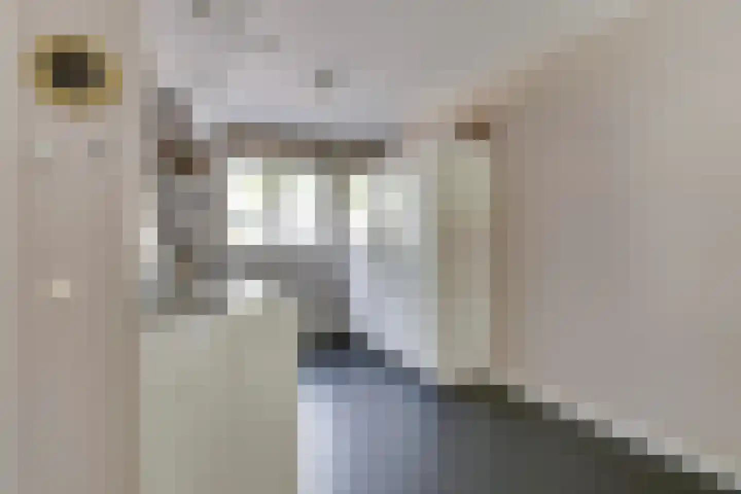 Honingbij 26 Son en Breugel thumbnail 19
