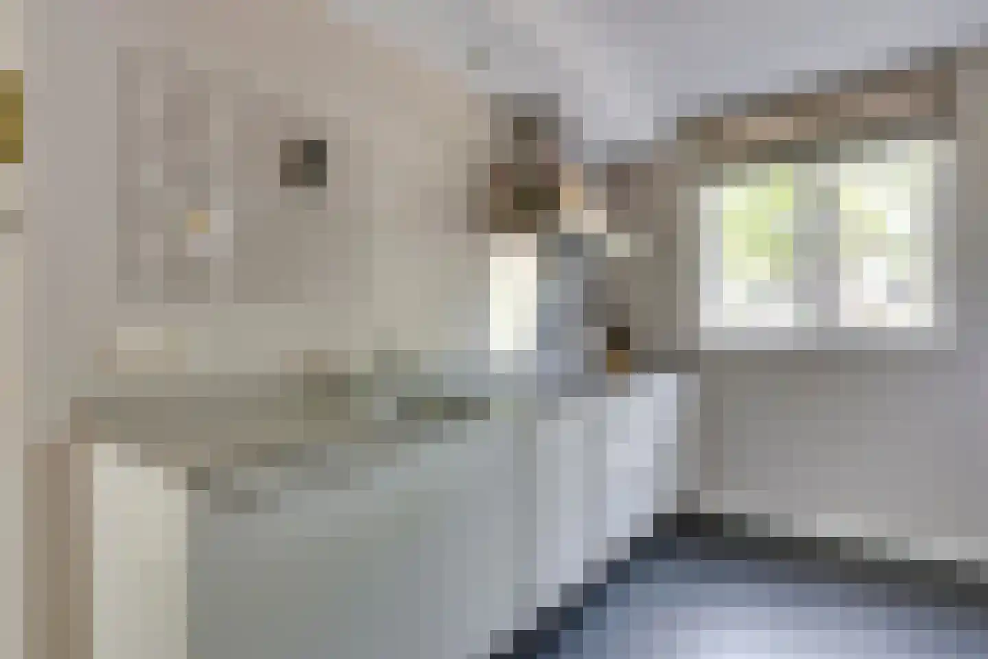 Honingbij 26 Son en Breugel thumbnail 21