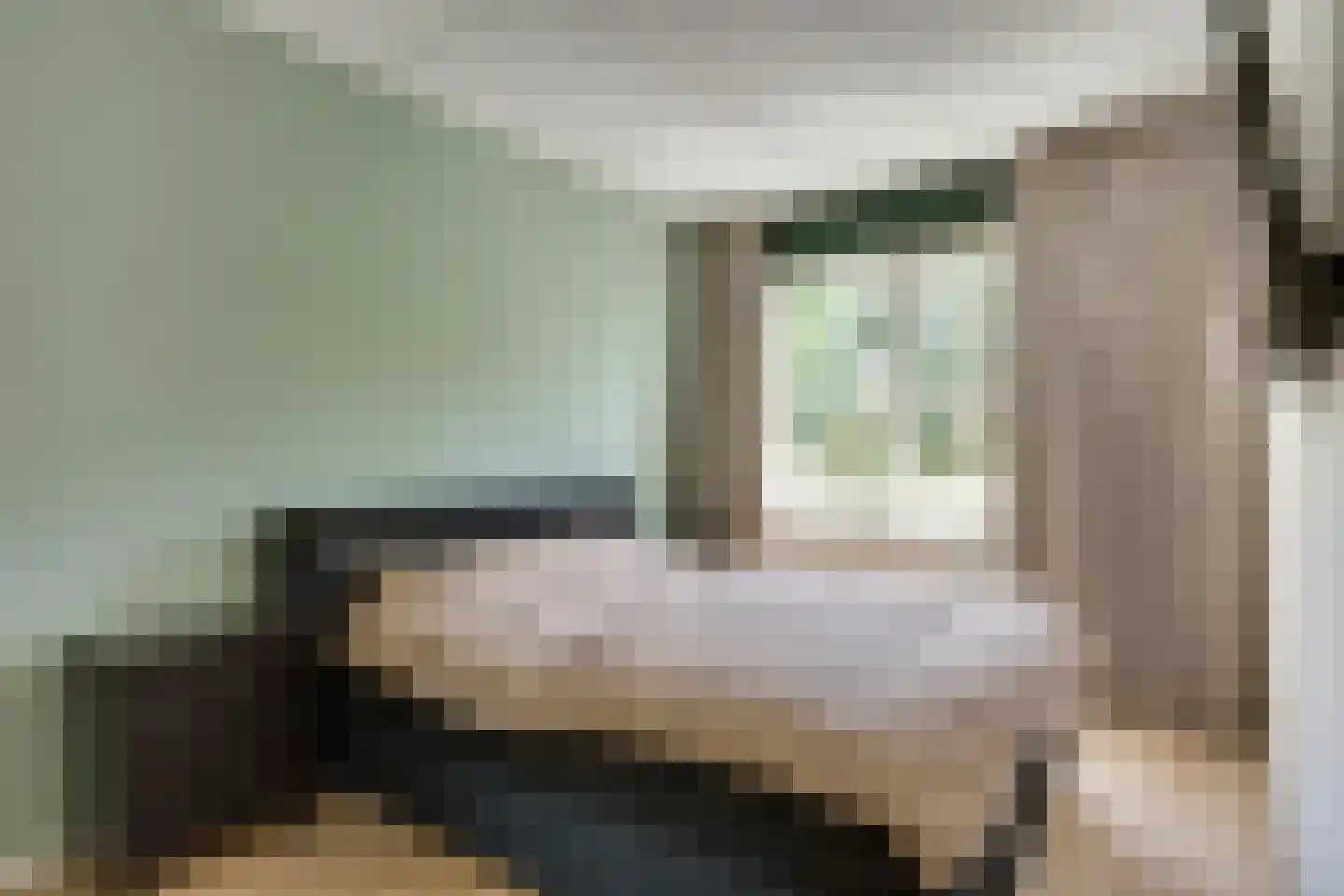 Honingbij 26 Son en Breugel thumbnail 27