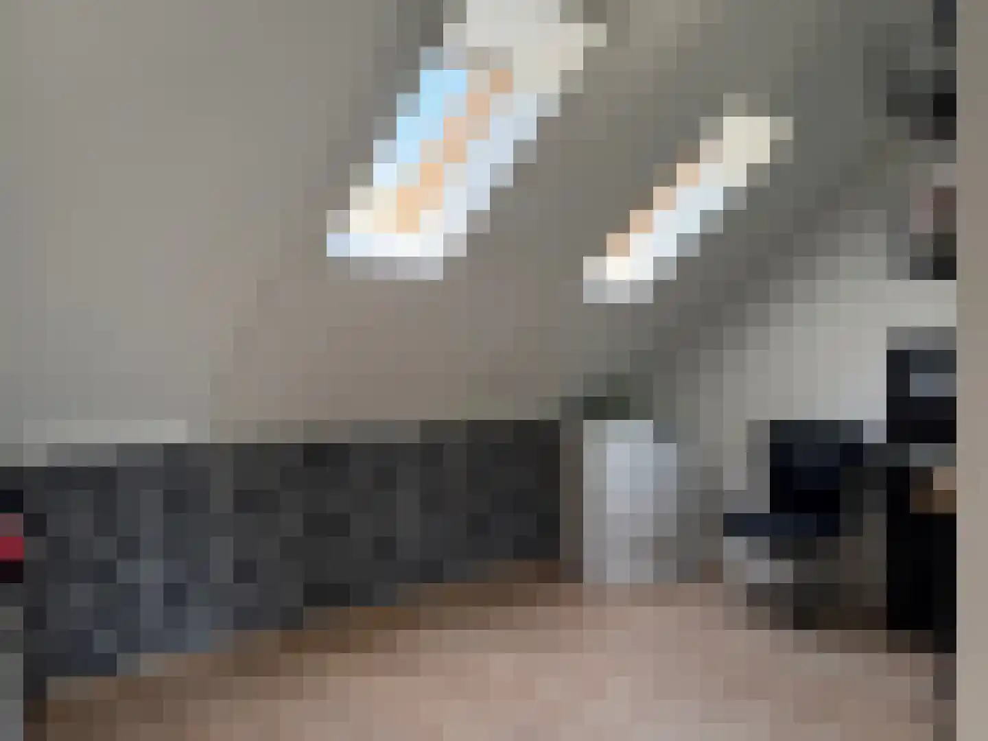 Honingbij 26 Son en Breugel thumbnail 36