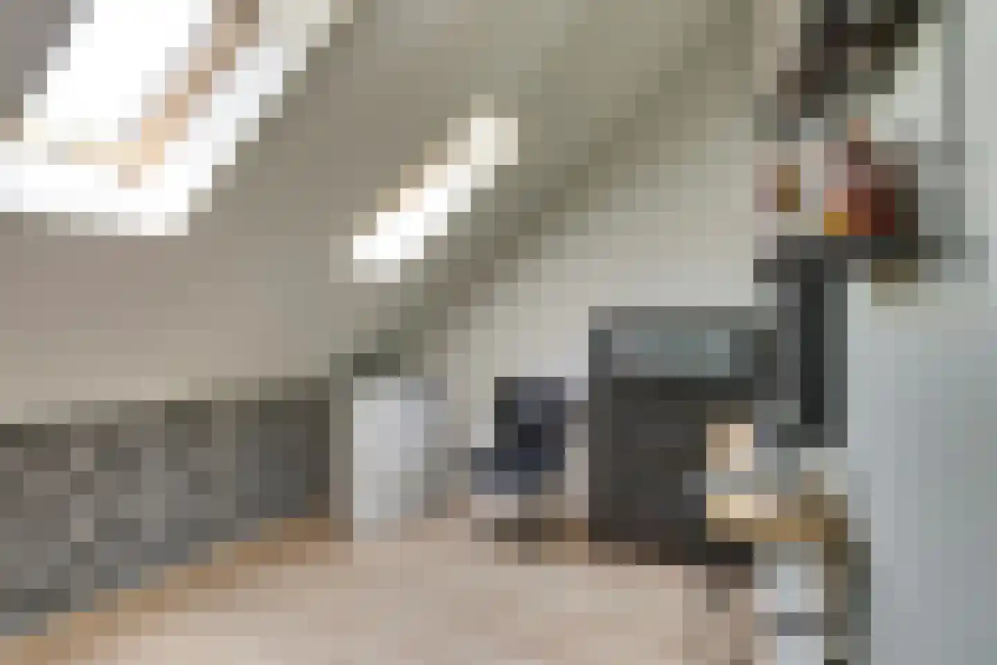 Honingbij 26 Son en Breugel thumbnail 40