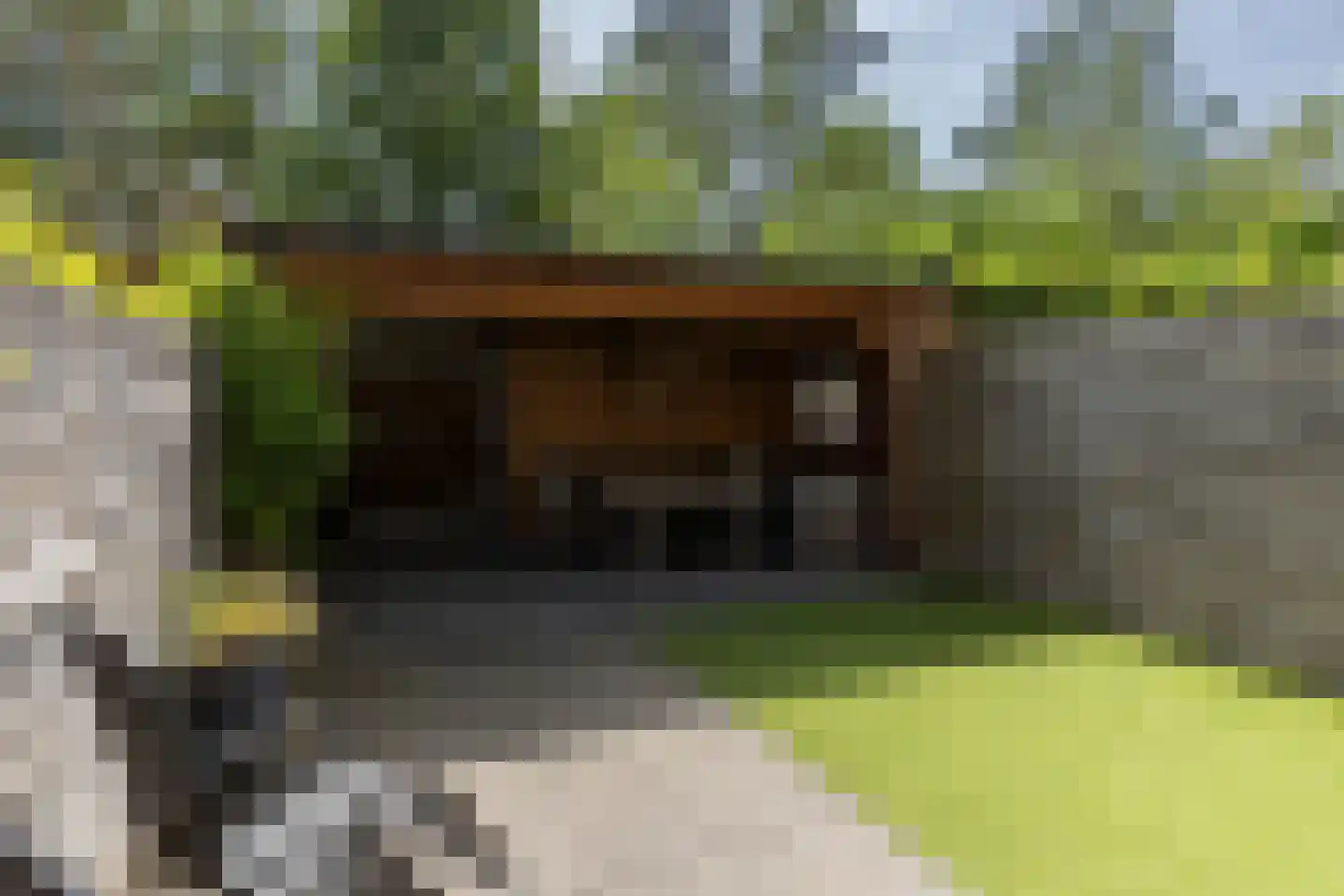 Honingbij 26 Son en Breugel thumbnail 44