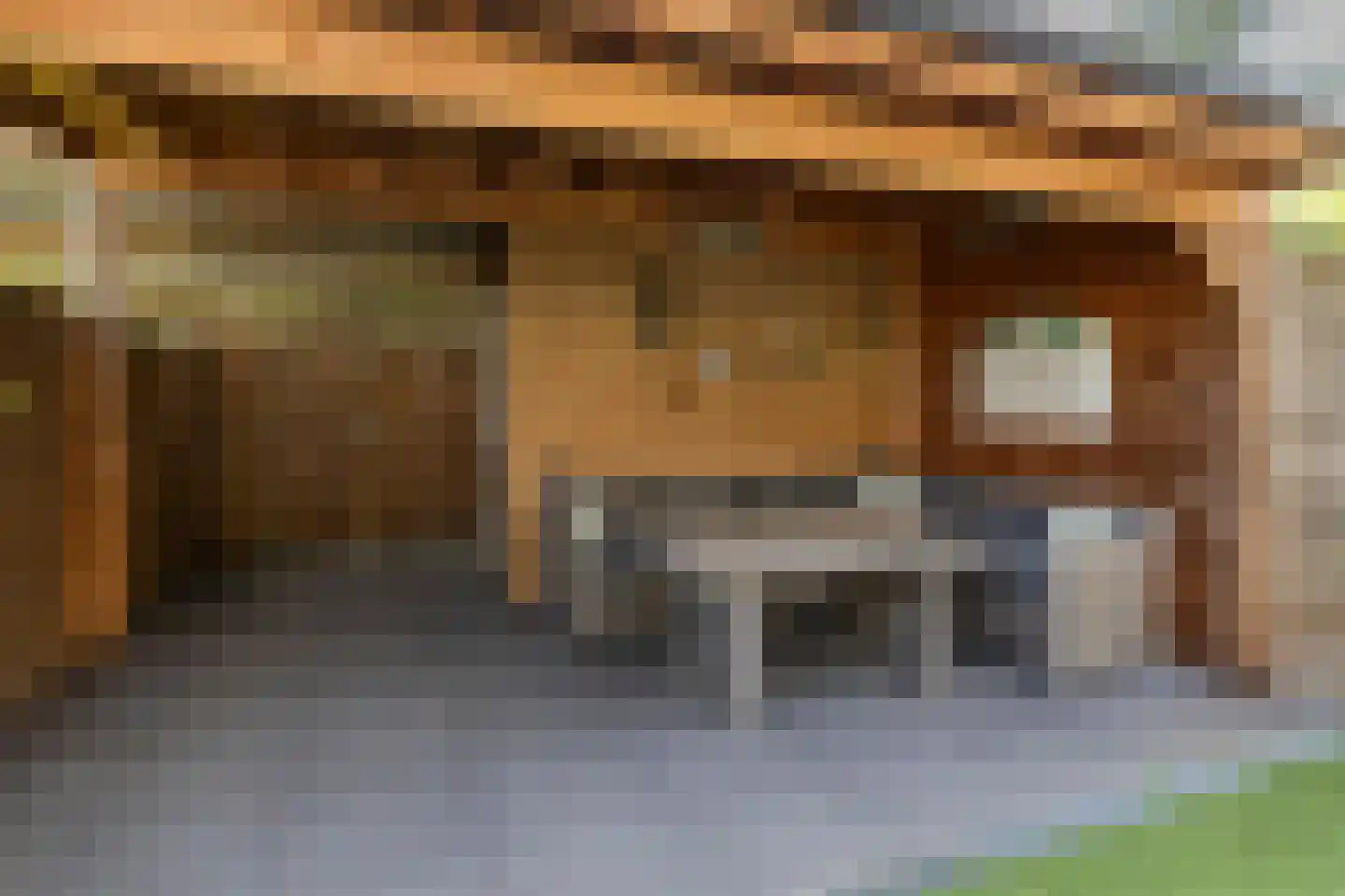 Honingbij 26 Son en Breugel thumbnail 46
