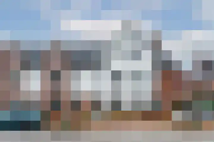 Honingbij 3 in Waddinxveen