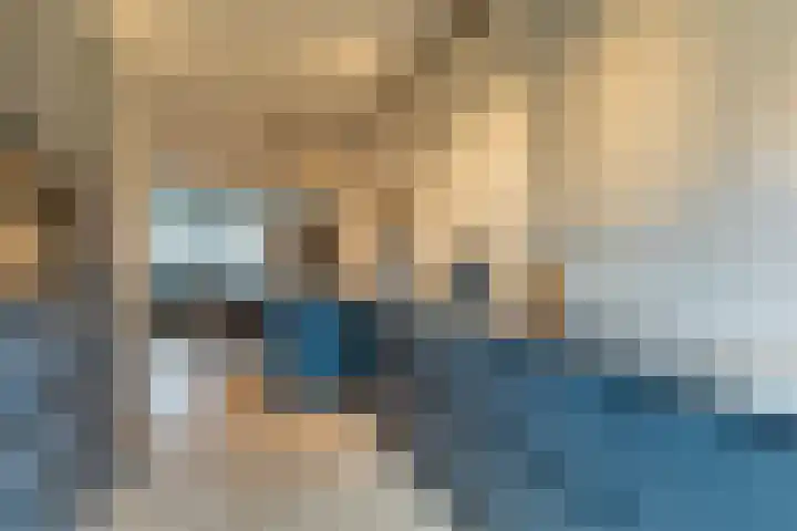 Honingbij 3 Waddinxveen thumbnail 14