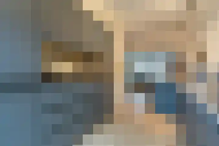 Honingbij 3 Waddinxveen thumbnail 15