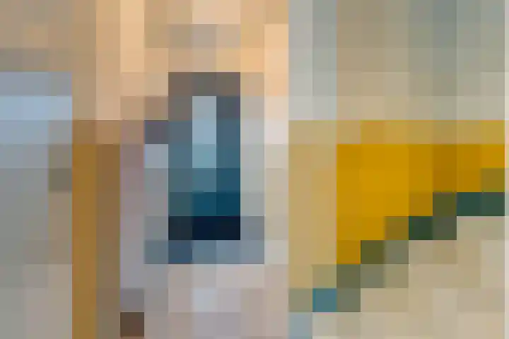 Honingbij 3 Waddinxveen thumbnail 16
