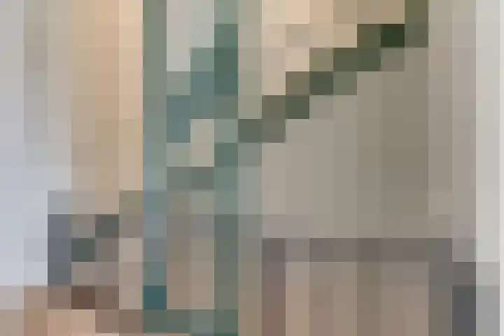Honingbij 3 Waddinxveen thumbnail 18