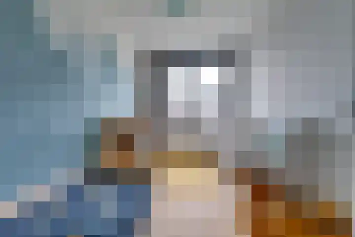 Honingbij 3 Waddinxveen thumbnail 24